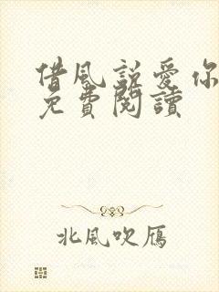 借风说爱你小说免费阅读