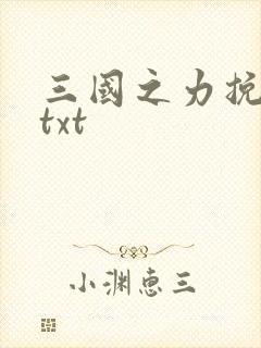 三国之力挽狂澜txt