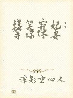 爆笑宠妃：爷我等你休妻