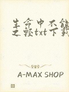 生命中不能承受之轻txt下载