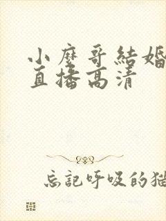 小么哥结婚视频直播高清