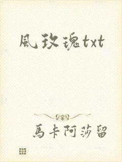 风玫瑰txt