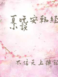 夏晚安韩经年的小说