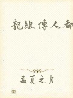 龙组传人都市行