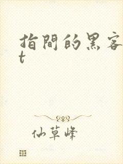 指间的黑客txt