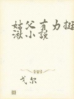 姑父有力挺送徐湫小说