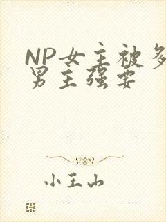 NP女主被多个男主强要