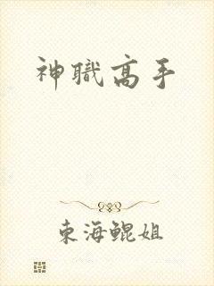 神职高手