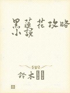 黑莲花攻略手册小说