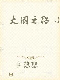 大国之路 小说