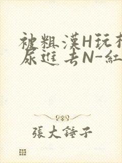 被粗汉H玩松了尿进去N-红-Q