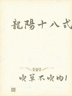 龙阳十八式