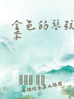 金色的琴弦第二季