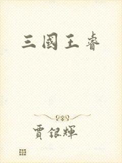 三国王睿