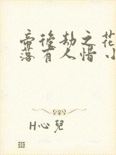 帝后劫之花开花落有人惜 小说