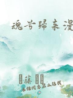 魂兮归来漫蒹葭