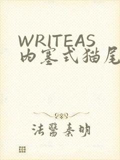 WRITEAS内塞式猫尾