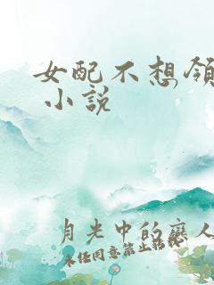 女配不想领便当 小说