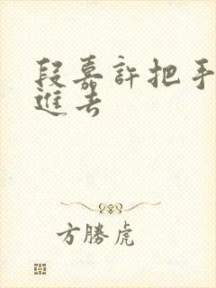 段嘉许把手探了进去