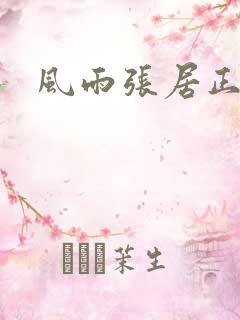 风雨张居正下载