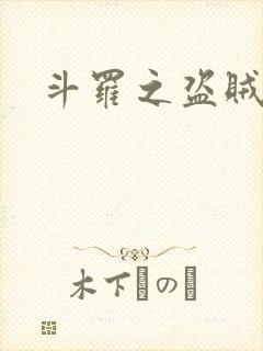 斗罗之盗贼
