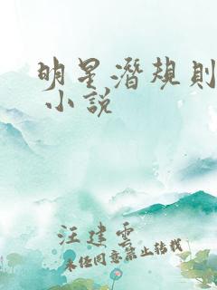 明星潜规则之皇 小说