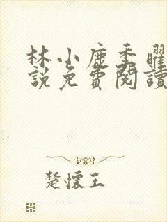 林小鹿季曜珉小说免费阅读