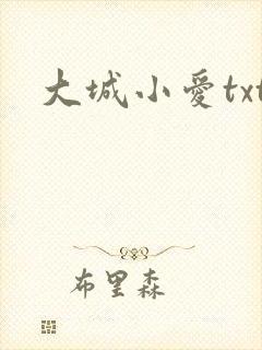 大城小爱txt