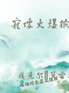 宠坏火爆检察官