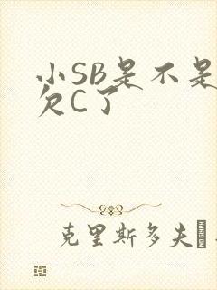 小SB是不是又欠C了