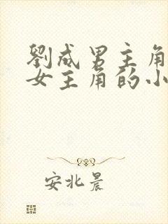 刘成男主角刘雪女主角的小说