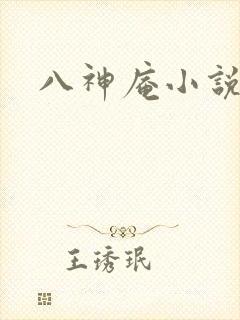 八神庵小说下载