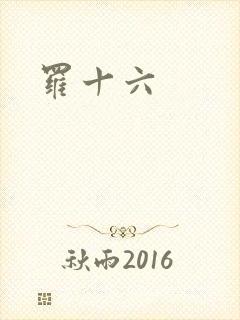 罗十六