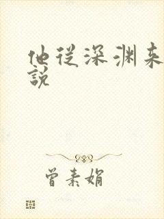 他从深渊来 小说