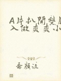 A片扒开双腿进入做爽爽小说