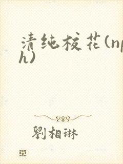 清纯校花(nph)