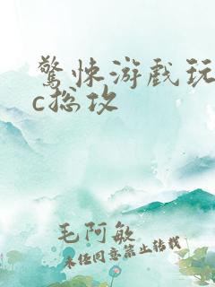 惊悚游戏玩npc总攻