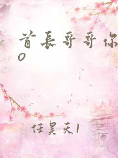 首长哥哥你好po