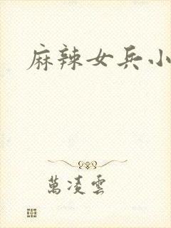 麻辣女兵小说版