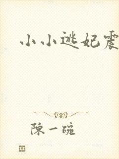 小小逃妃震江山