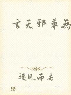 玄天邪尊无弹窗