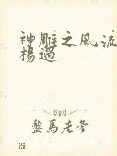 神雕之风流浪子杨过