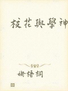 校花与学神