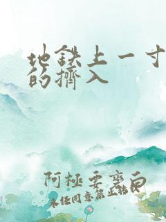 地铁上一寸一寸的挤入