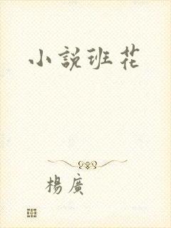 小说班花