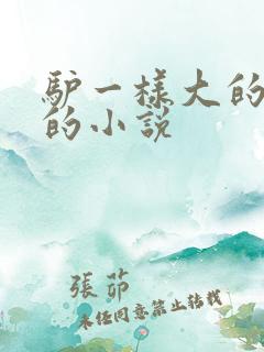 驴一样大的凶器的小说