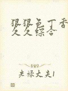 狠狠色丁香婷婷久久综合