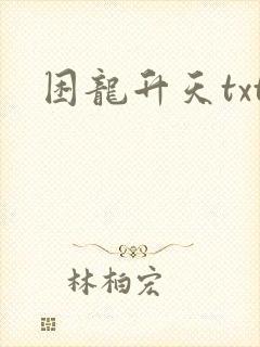困龙升天txt
