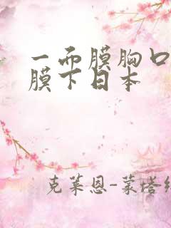 一面膜胸口一面膜下日本