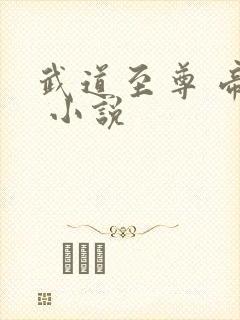 武道至尊 帝临 小说